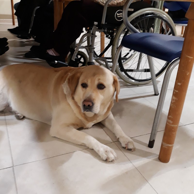 Residència Itaca Fortuny — foto 7