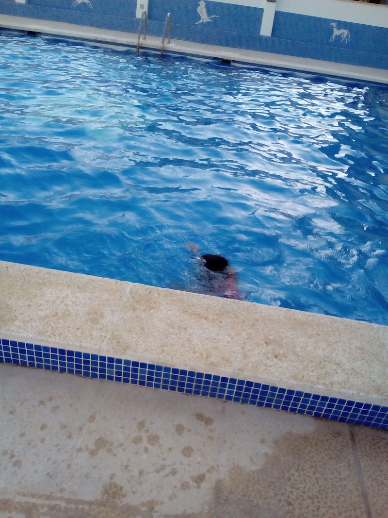 Fundació Pere Badia — foto 6