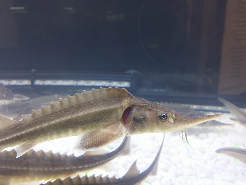 Fundación Residencia para Ancianos y Menores de Sarrión — foto 4