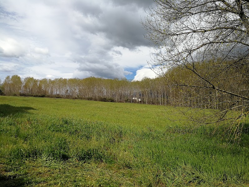 Residencia de Ancianos Jardín de Gredos — foto 4
