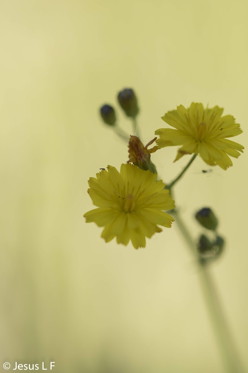 Residencia de Ancianos Jardín de Gredos — foto 5