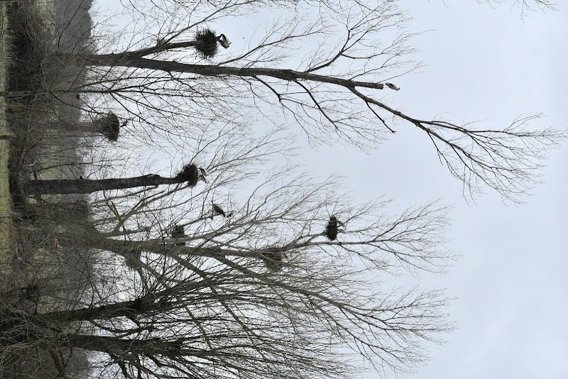 Residencia de Ancianos Jardín de Gredos — foto 6