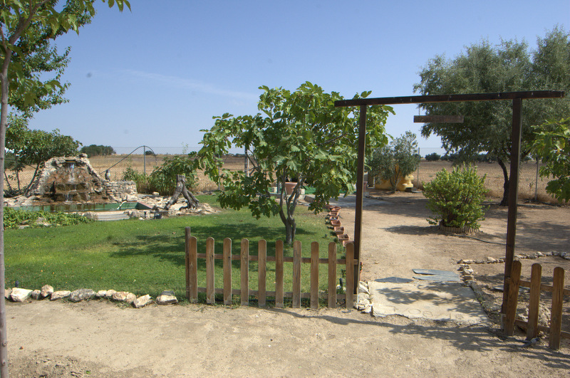 Residencia hotel para mayores Virgen del Socorro — foto 6
