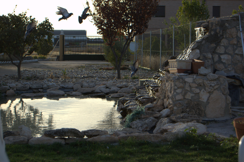 Residencia hotel para mayores Virgen del Socorro — foto 7