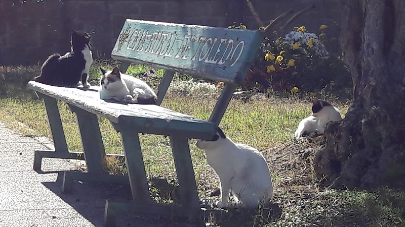 Residencia El Salvador — foto 2