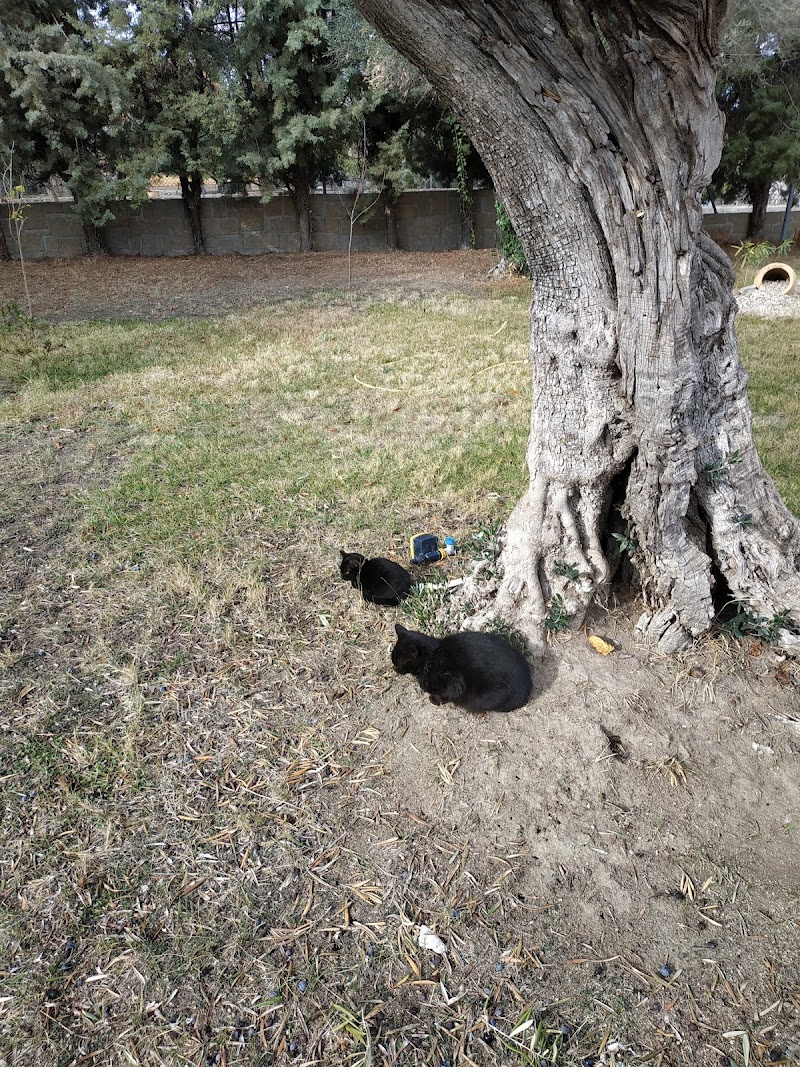 Residencia El Salvador — foto 3