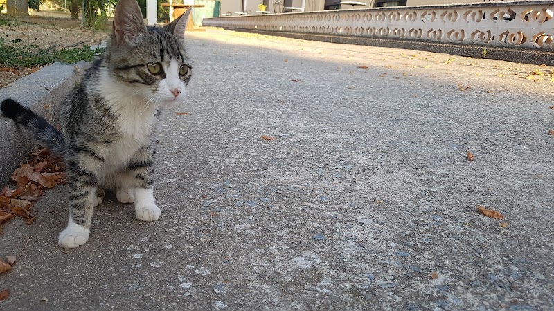 Residencia de Mayores Montes de Toledo — foto 5