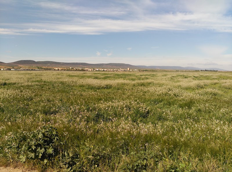 Residencia de Mayores Montes de Toledo — foto 8