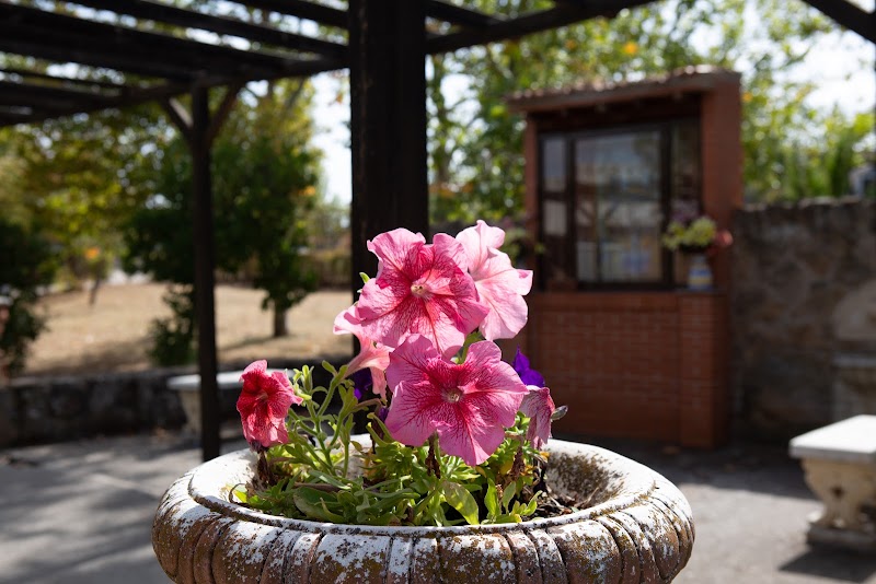 Complejo Residencial Virgen de la Blanca — foto 8