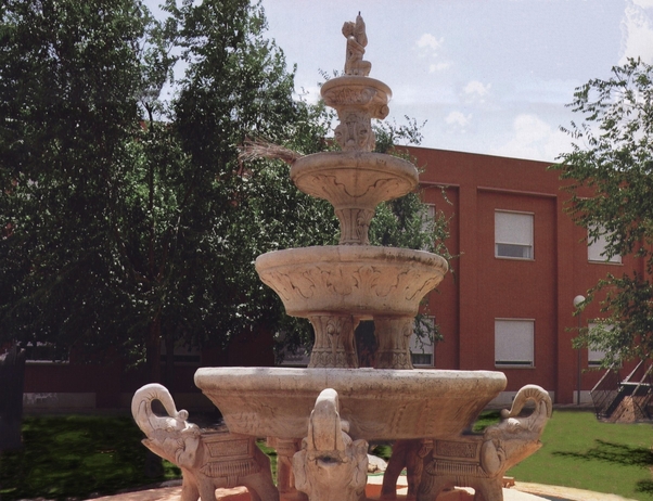 Residencia Geriátrica Santo Cristo de Santa Ana, S. L. — foto 10