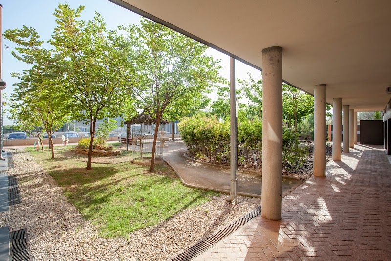 Residencia Solimar Alzira — foto 10