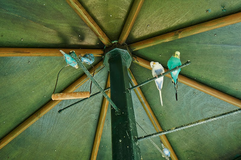 Residencia de tercera edad La Saleta Anna — foto 10