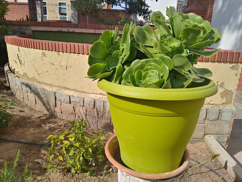 Hogar de ancianos Sequera — foto 4