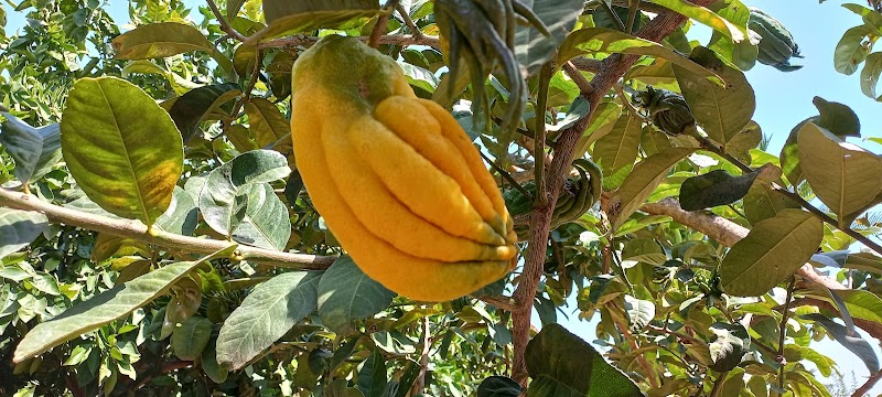 Residencia 3ª edad Virgen de Aguas Vivas — foto 4