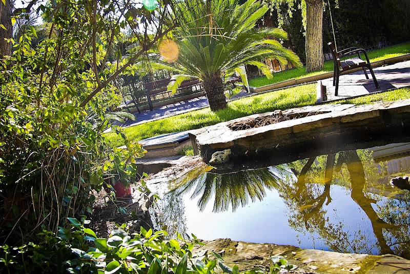 Residencia La Paloma — foto 5