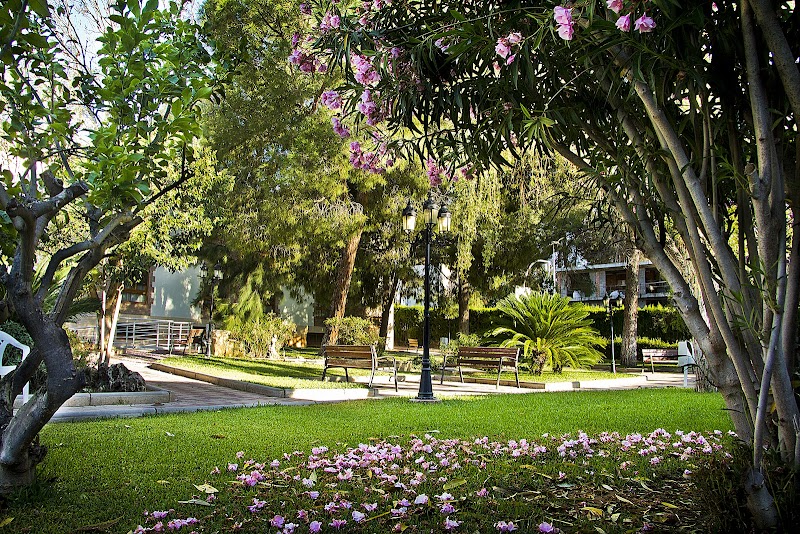 Residencia La Paloma — foto 10