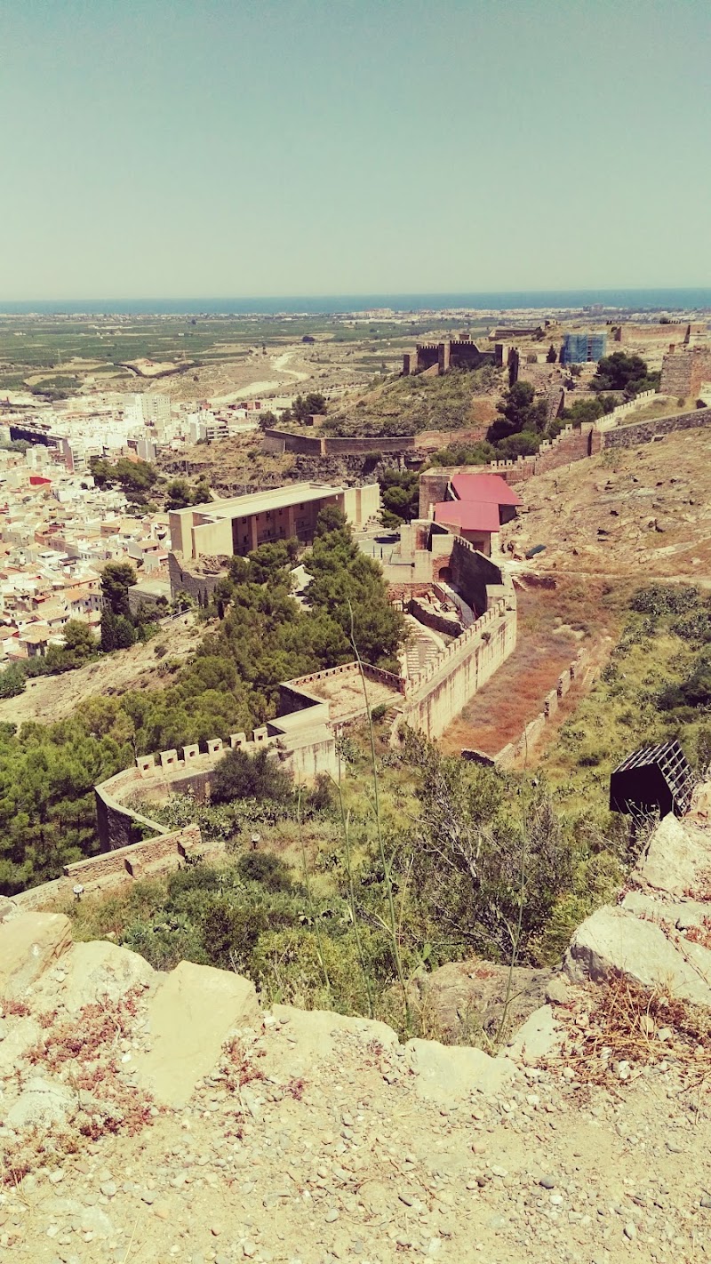 Domusvi Monte Arse — foto 7