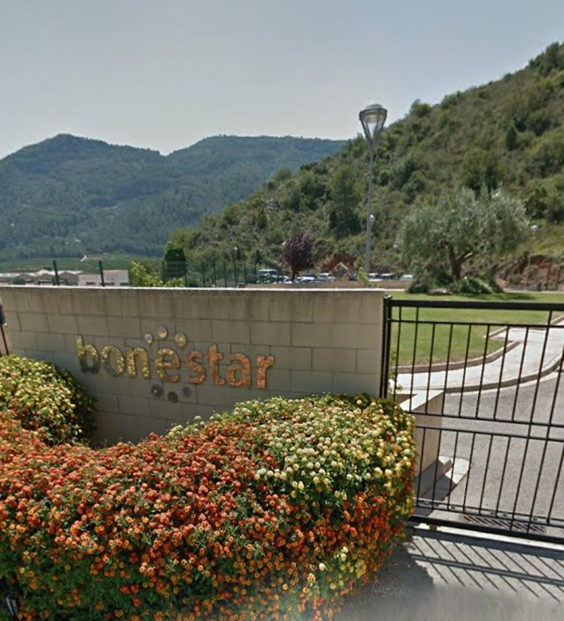 Bonestar Centre Residencial — foto 3