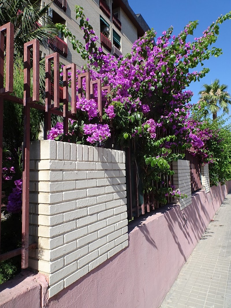 Residencia Femenina Nuestra Señora de los Desamparados — foto 5