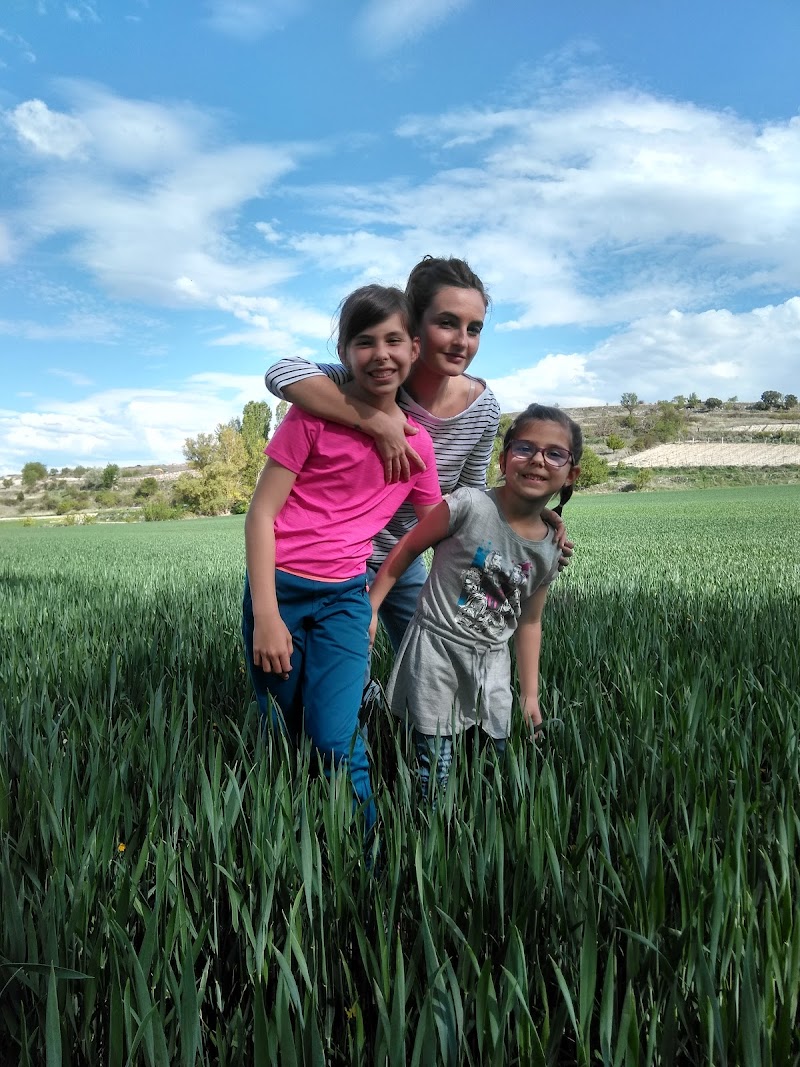 Residencia de 3ª edad Virgen del Olmar — foto 8