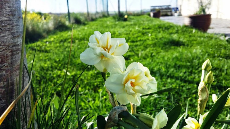 Residencia Santa Teresita — foto 9