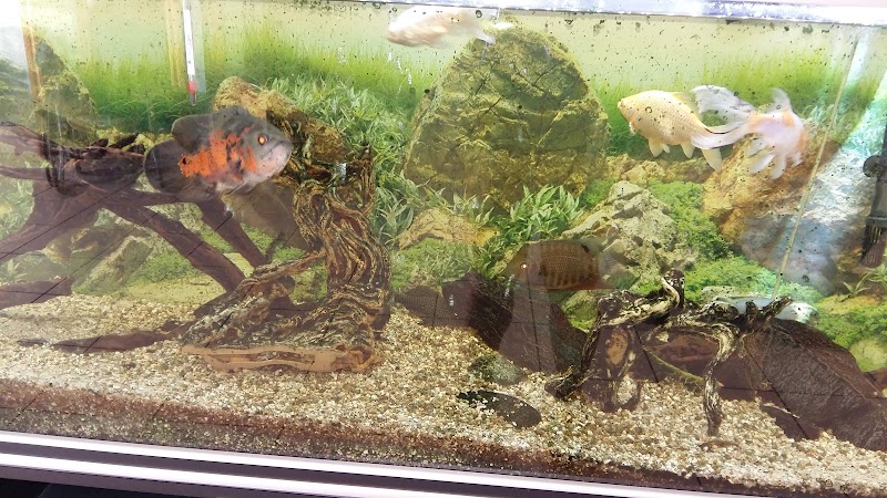 Centro Asistencial La Residencia de Medina — foto 9