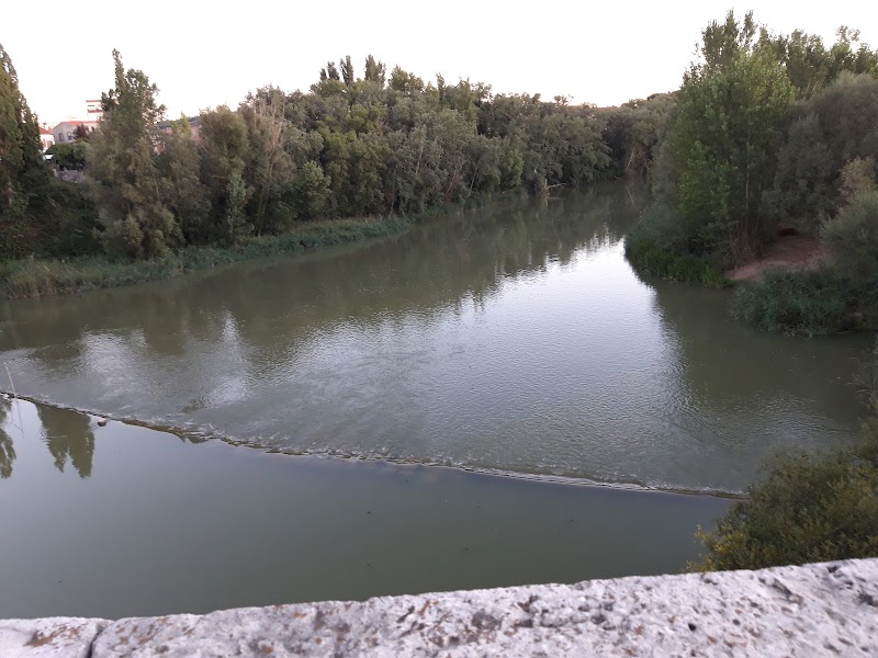 Residencia para mayores El Mirador del Duero — foto 2