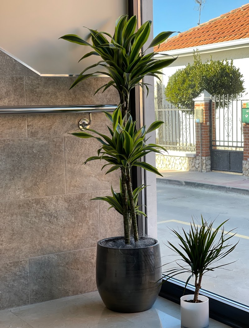 Residencia de ancianos Virgen del Milagro — foto 7