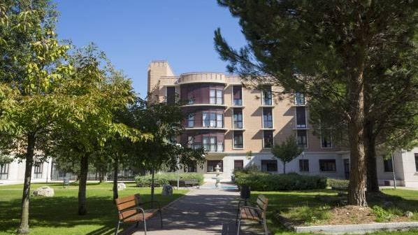 AMAVIR El Encinar del Rey — foto 3