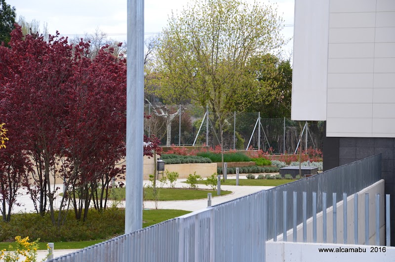 Centro Hospitalario Benito Menni — foto 8