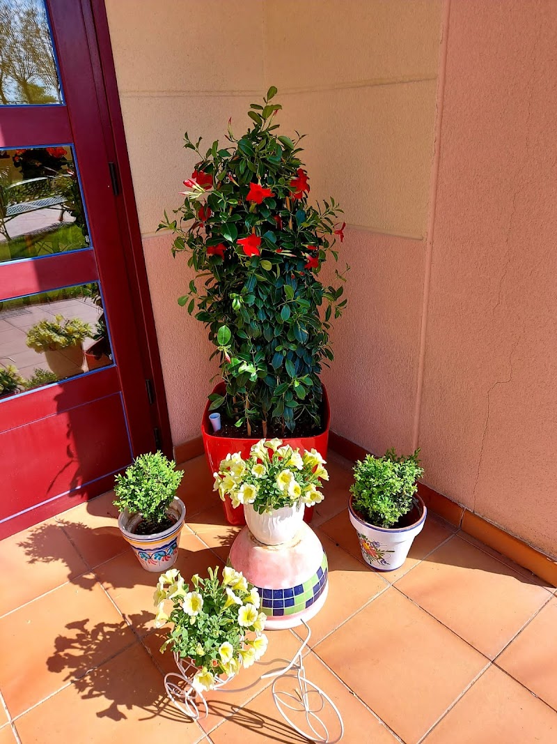 Residencia para personas mayores La Arbolada — foto 5