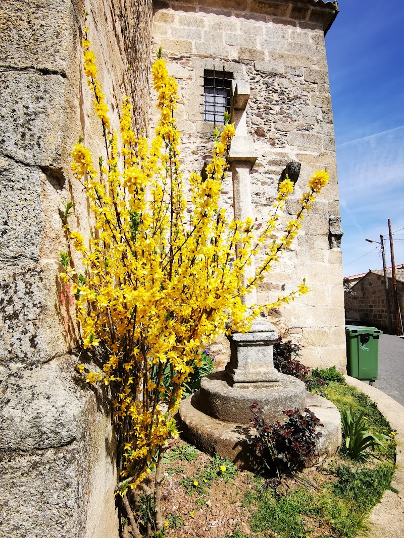 Residencia de 3ª edad Virgen de la Salud — foto 4