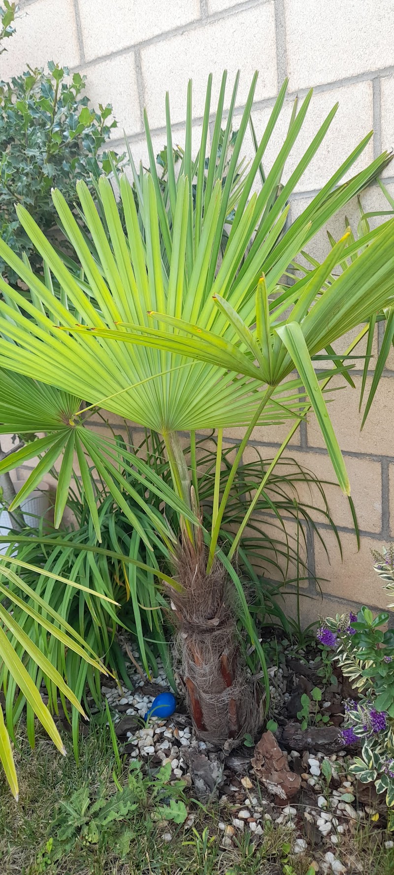 Residencia de mayores Los Olivos — foto 2