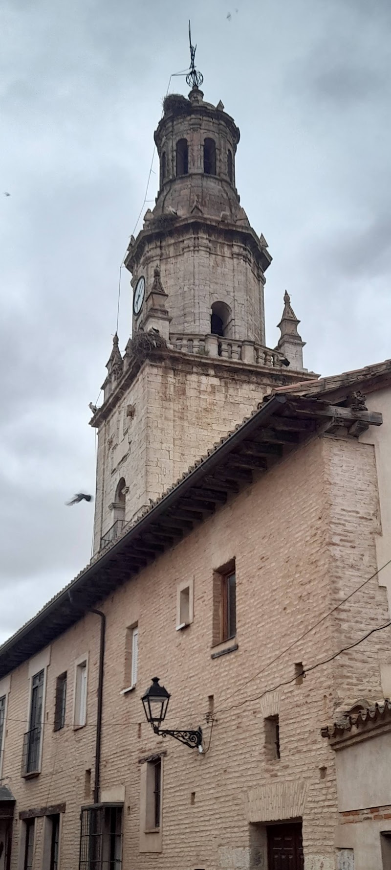 Residencia de mayores Los Olivos — foto 4