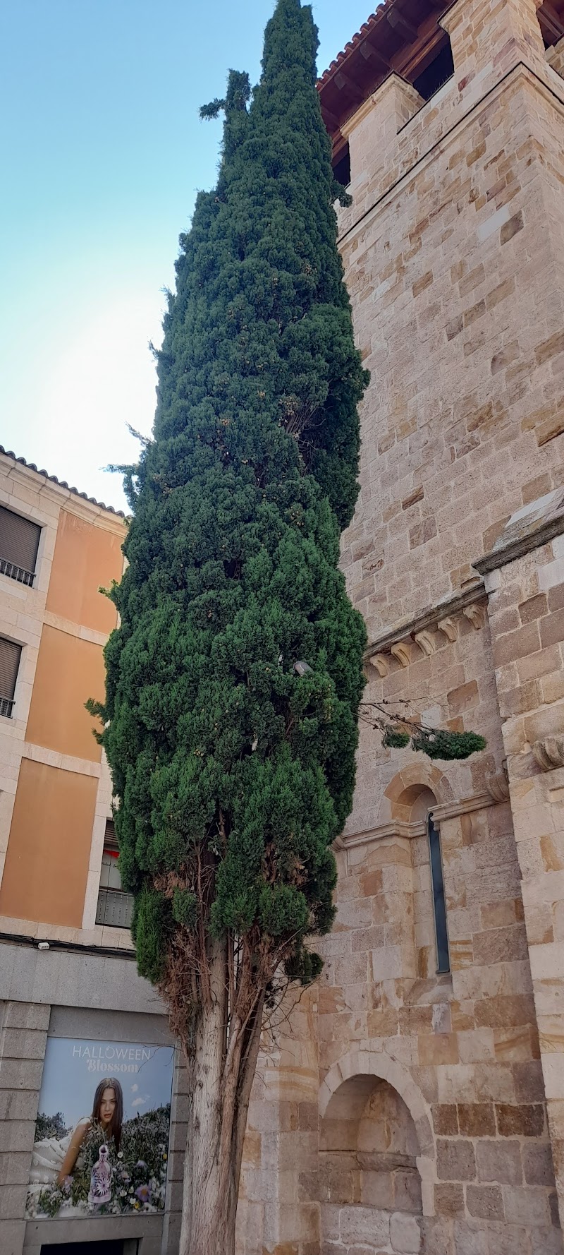 Residencia de mayores Los Olivos — foto 5