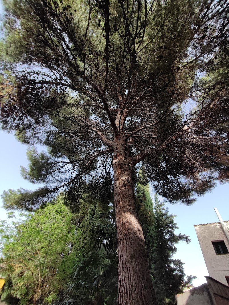 Residencia de 3ª edad Hospital Sancti Spiritus de Borja — foto 2