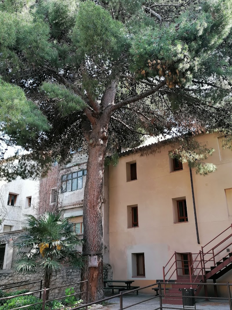 Residencia de 3ª edad Hospital Sancti Spiritus de Borja — foto 5