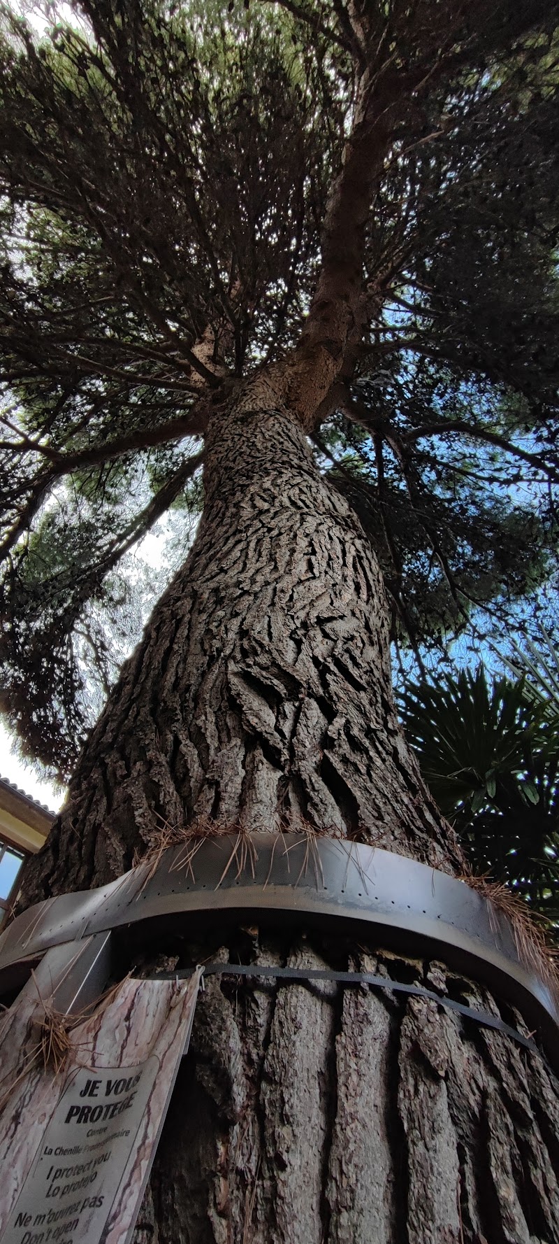 Residencia de 3ª edad Hospital Sancti Spiritus de Borja — foto 10