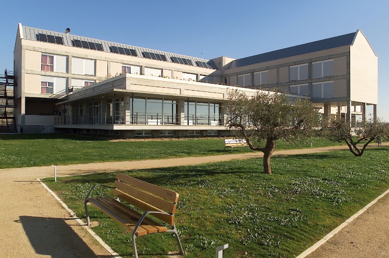 Residencia El Veral — foto 3