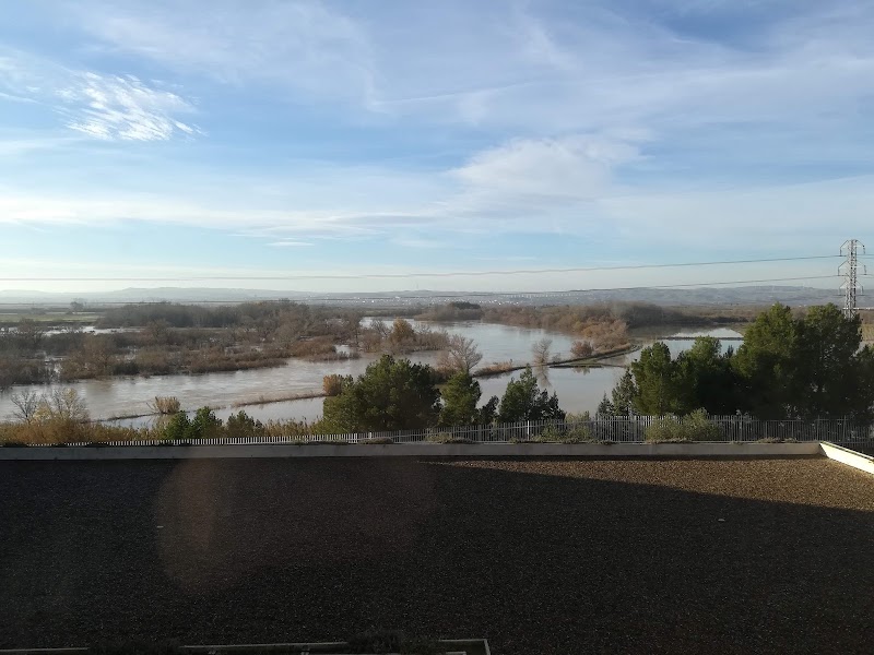 Residencia El Veral — foto 9