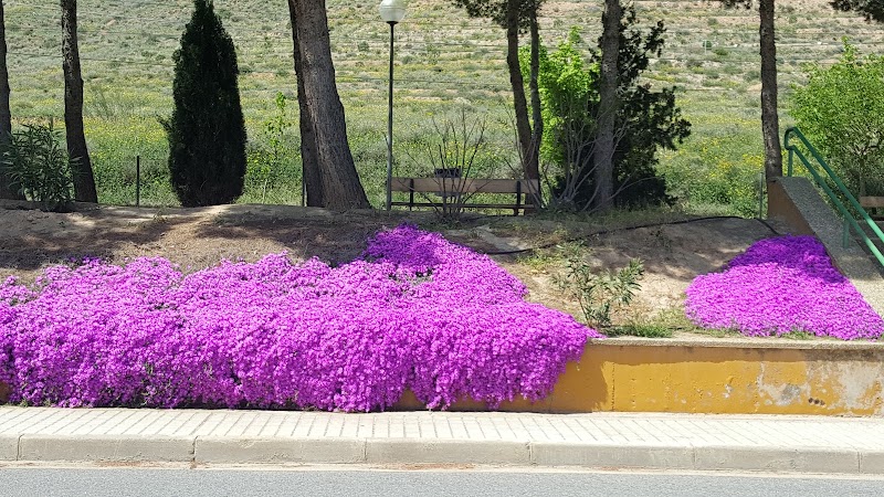 Residencia Miguel Servet — foto 2