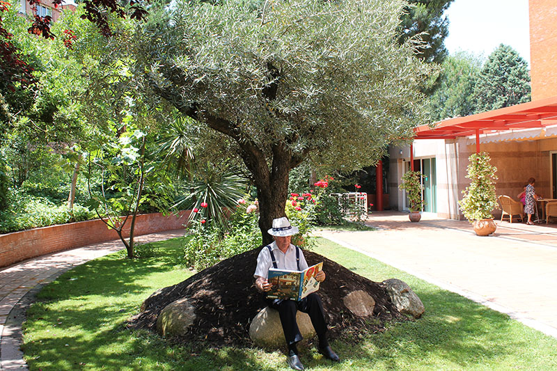 Ballesol Puerta del Carmen — foto 10