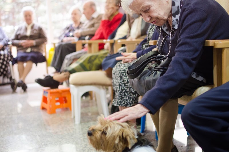 Residencia Torre Laurel — foto 10