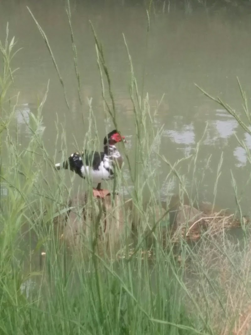 Residencia asistida Santa Teresa - Cáritas Zaragoza — foto 4