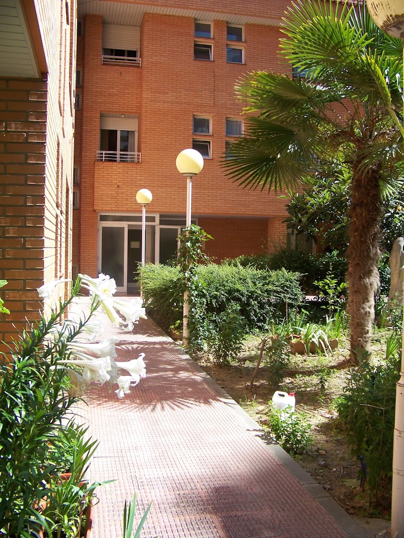 Residencia Ozanam Nuestra Señora del Carmen — foto 10