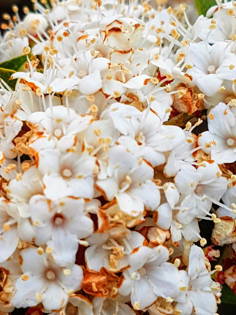 Residencia Madre María Pilar Izquierdo — foto 6