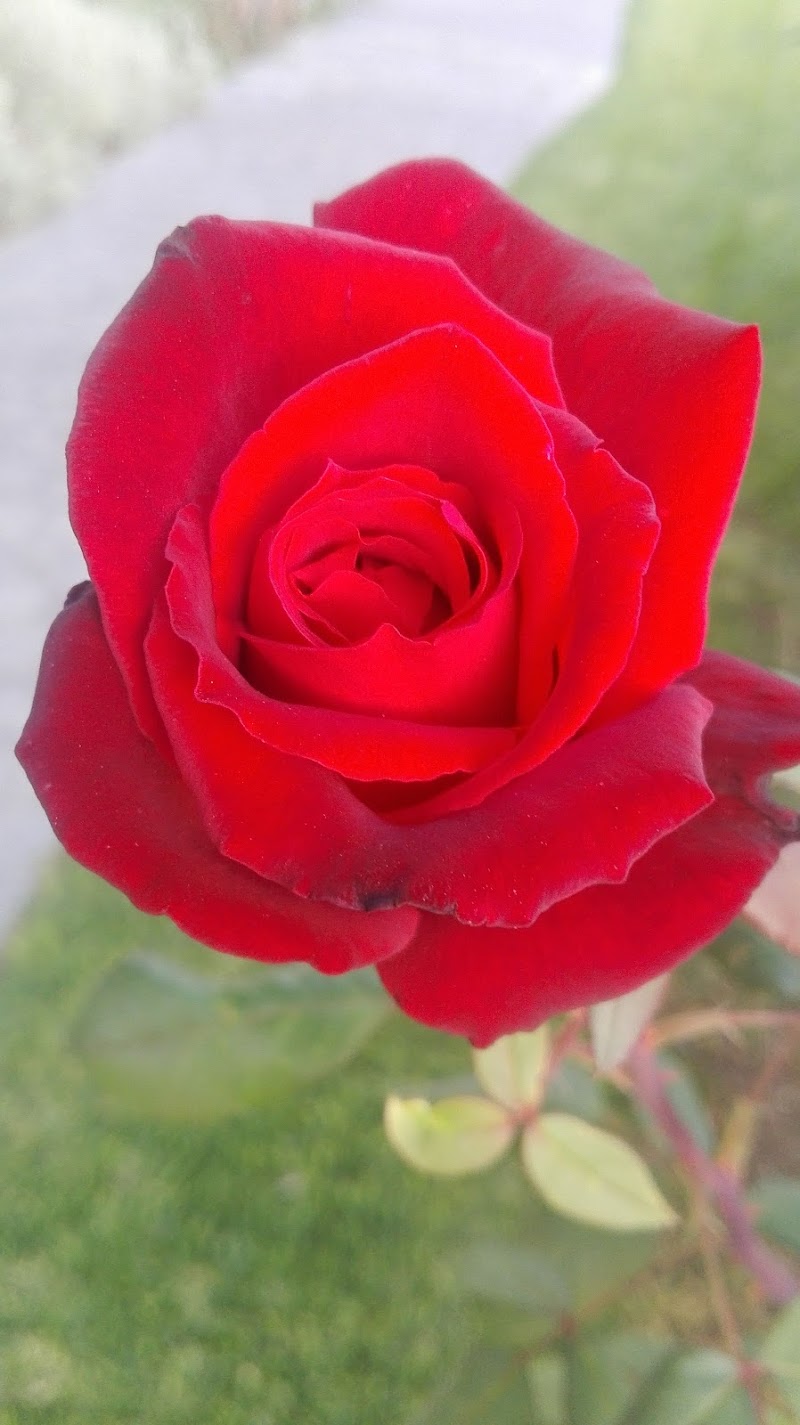 Residencia Betania-Escolapios — foto 4