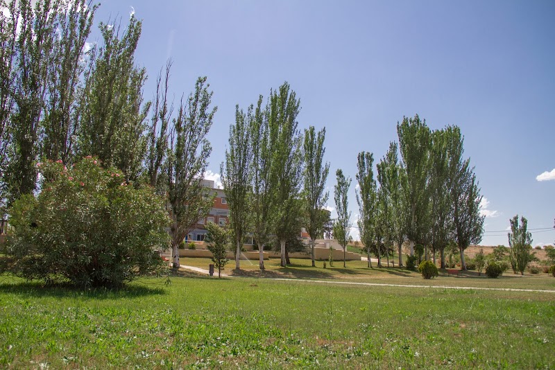 Entre Álamos — foto 5