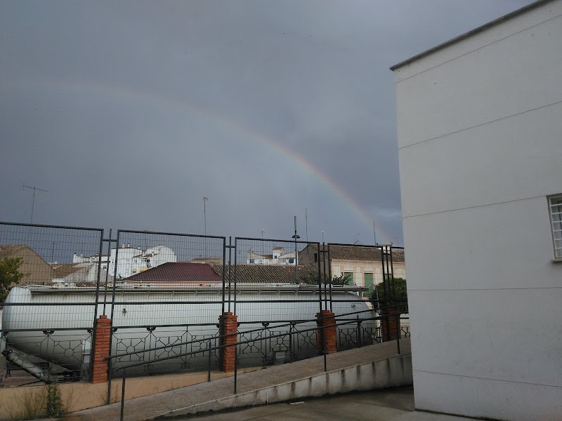 Centro de día para enfermos de Parkinson — foto 5