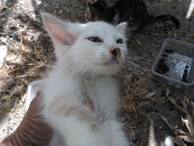 Centro de día para enfermos de Parkinson — foto 6